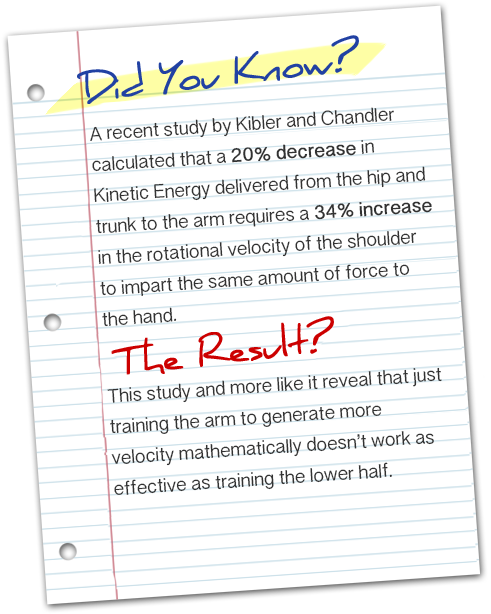 A recent study by Kibler and Chandler calculated that a 20% decrease in Kinetic Energy delivered from the hip and trunk to the arm requires a 34% increase in the rotational velocity of the shoulder to impart the same amount of force to the hand.